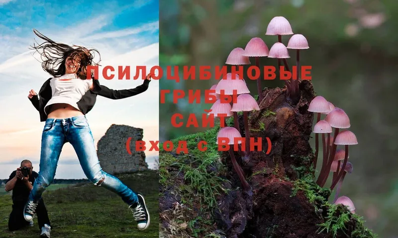 Галлюциногенные грибы Cubensis  Шлиссельбург 